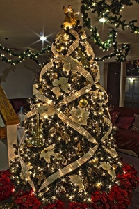 beautiful-christmas-tree-ideas
